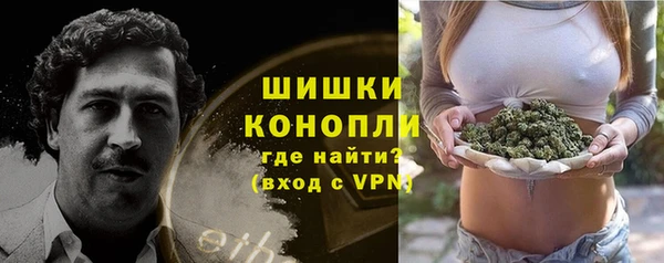 соль ск Горнозаводск