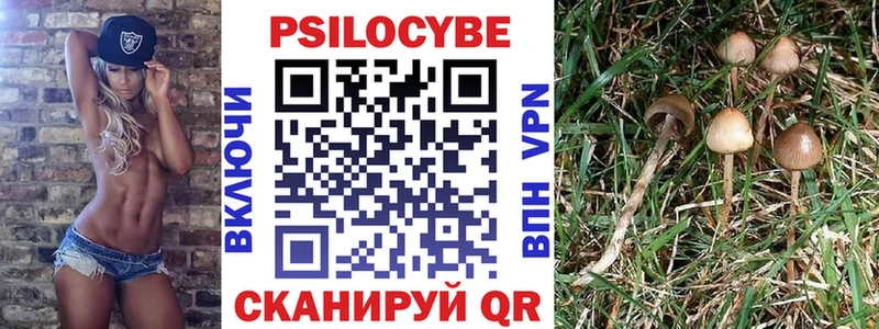 Псилоцибиновые грибы ЛСД  где купить наркотик  Заозёрск 